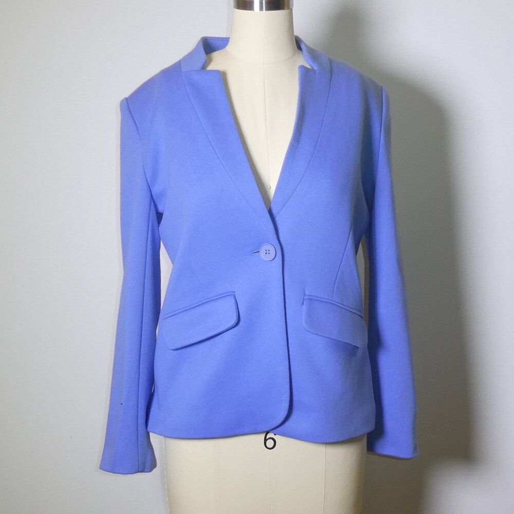 Hibsonlook Light Blue Blazer – Size S